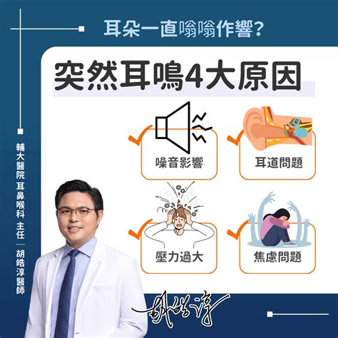 左耳一直耳鳴|耳鳴怎麼辦？耳鼻喉科醫師解析原因、治療、解決方法